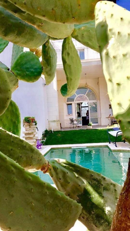 Percebes Exclusive B&B Cutrofiano Exterior foto